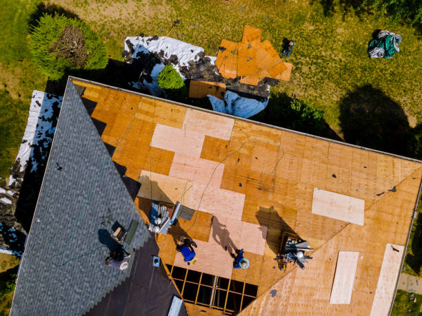 Best Flat Roof Repair Services  in Hybla Lley, VA