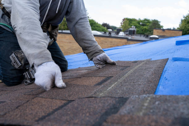 Best Roof Replacement Cost  in Hybla Lley, VA
