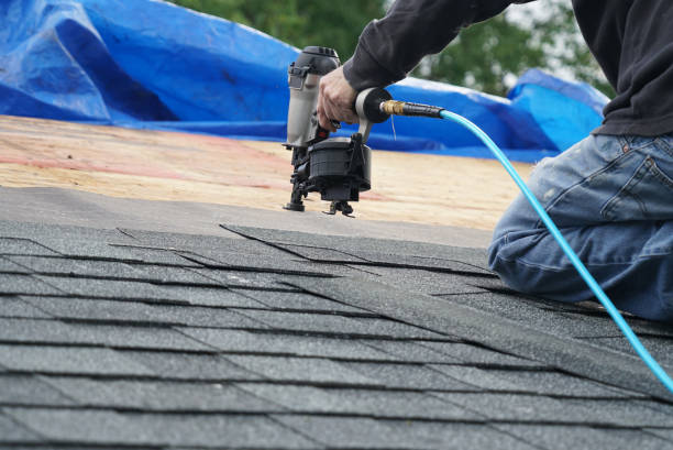 Best Local Roofing Companies  in Hybla Lley, VA