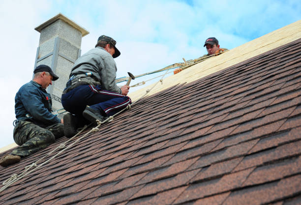 Best Affordable Roofing Company  in Hybla Lley, VA