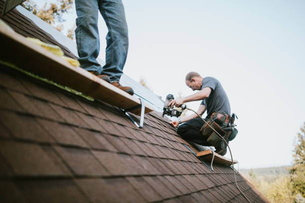 Best Roof Maintenance Services  in Hybla Lley, VA