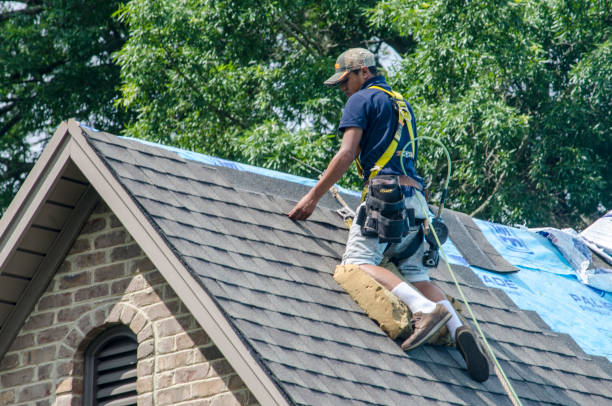 Best Roof Repair Services  in Hybla Lley, VA